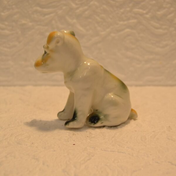 cane bianco tilacino store 3