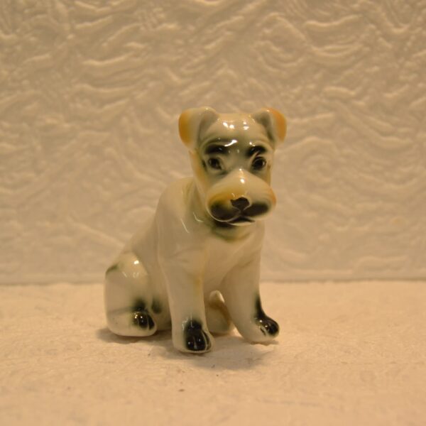 cane bianco tilacino store