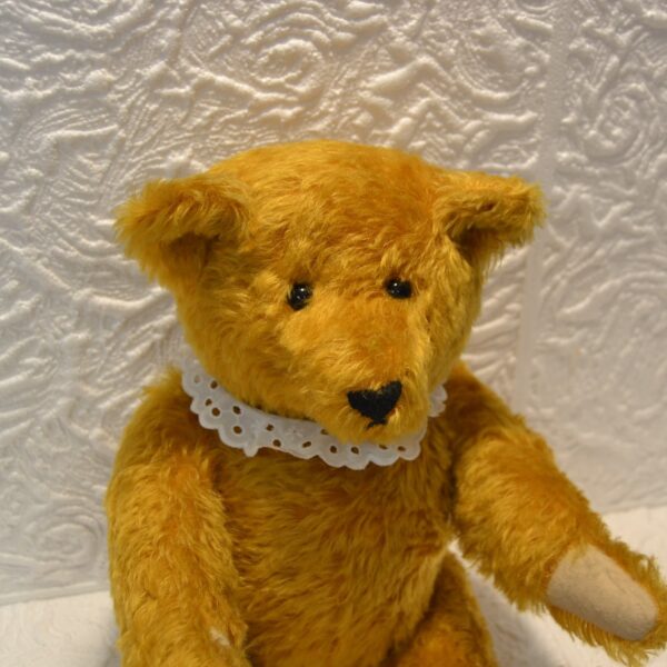 orso antiquariato tilacino store 2