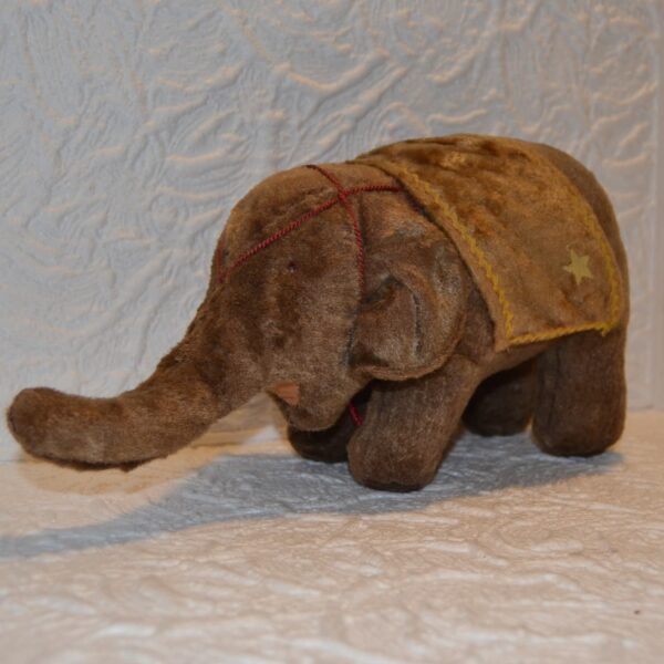 orso antiquariato tilacino store 2