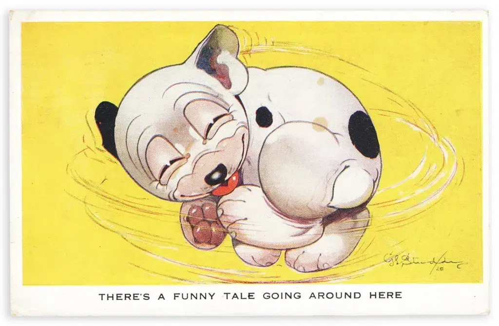 bonzo-tilacinostore-2