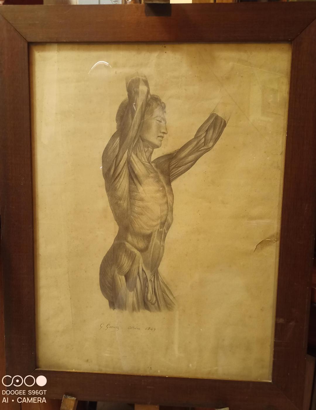 guido-gonin-pittore-risorgimento-tilacino